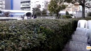 漂亮秘书玩车震一直喊:不要!不要! 应该是指不要停